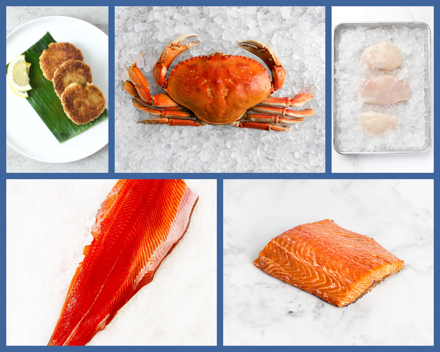 Best of The Northwest Bundle