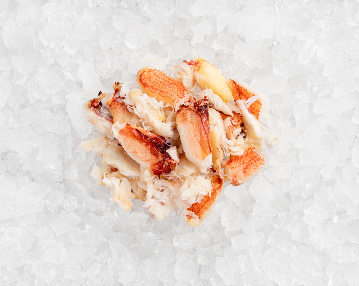 Dungeness Crab Meat