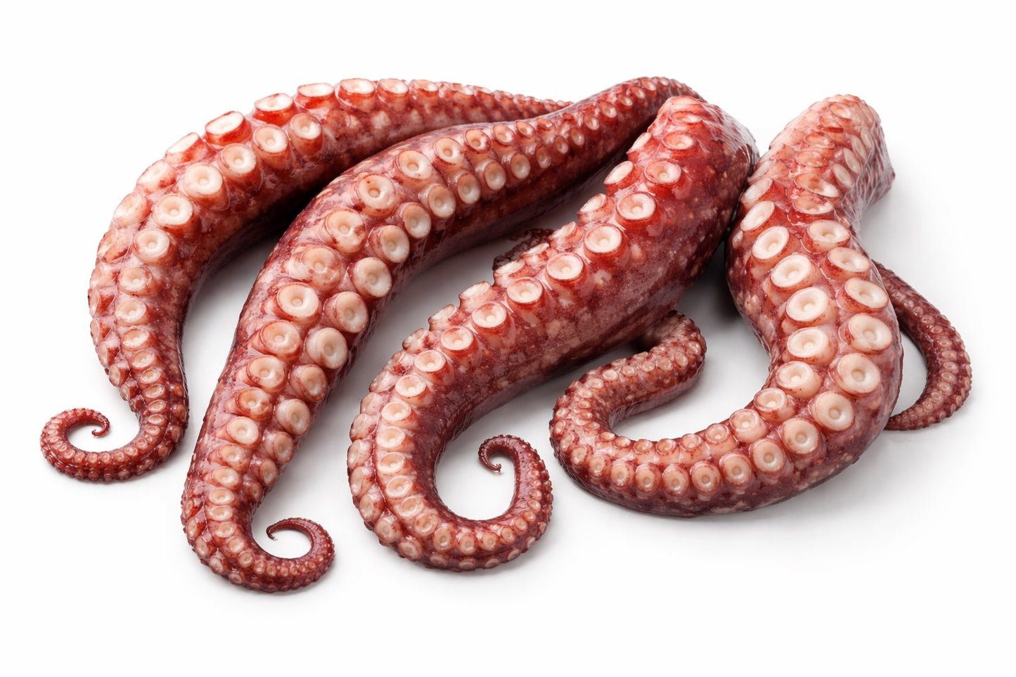 Jumbo Octopus Tentacles 2lbs