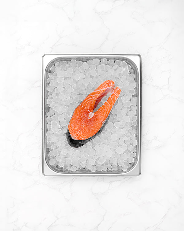 King Salmon Steak