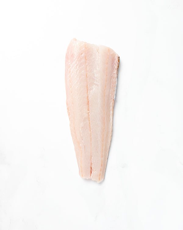 Ling Cod Fillet