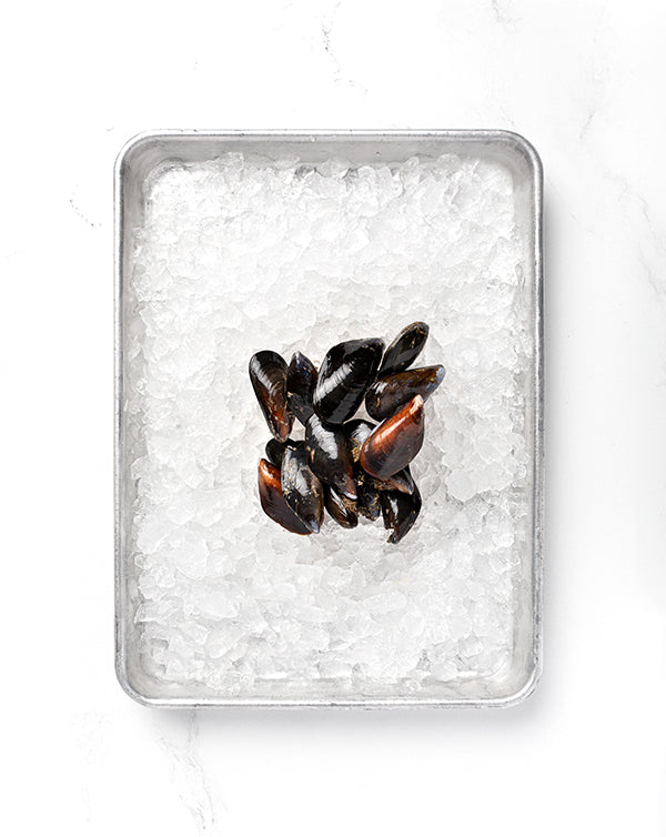 Local Mussels