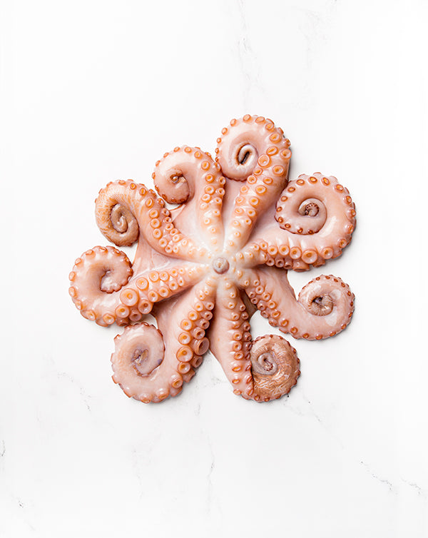 Octopus