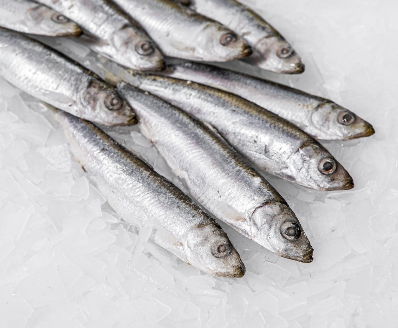 Whole Sardines