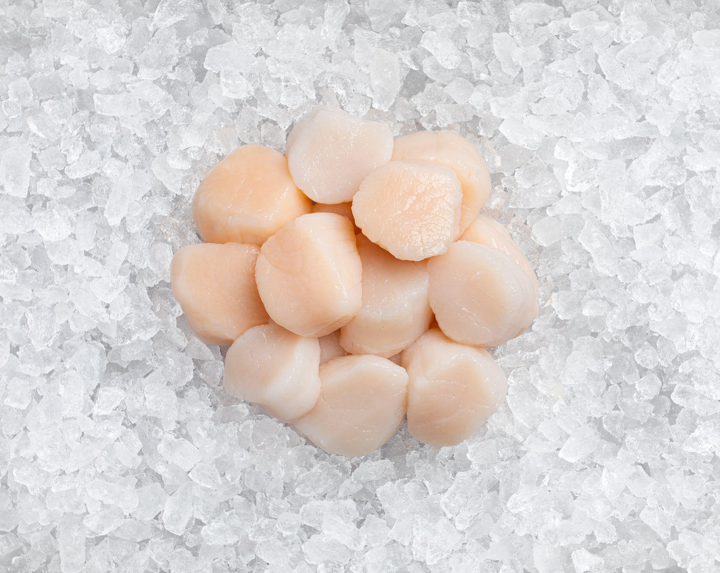 Jumbo Scallops