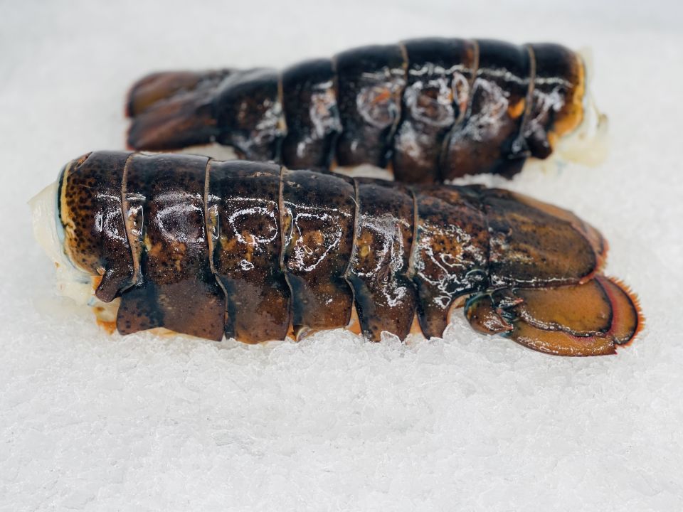 Colossal Lobster Tails - About 2lbs – City Fish