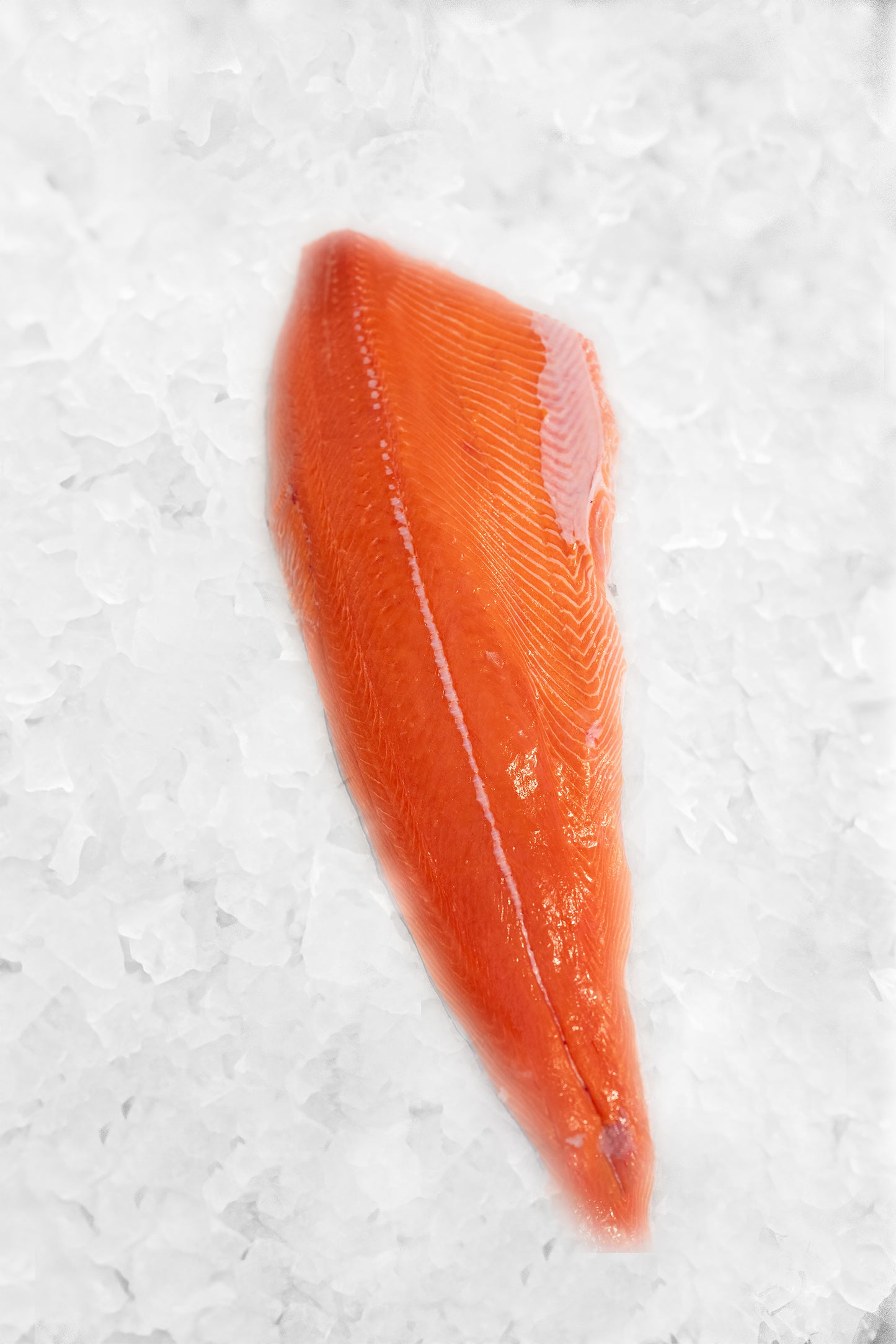 Copper River KING Salmon - Filet