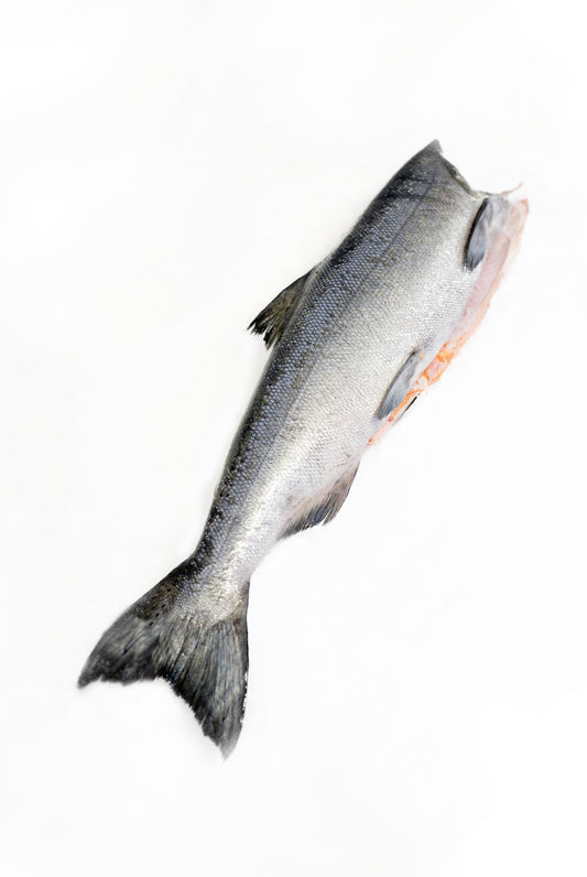 Copper River KING Salmon - Whole Fish