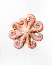 Octopus