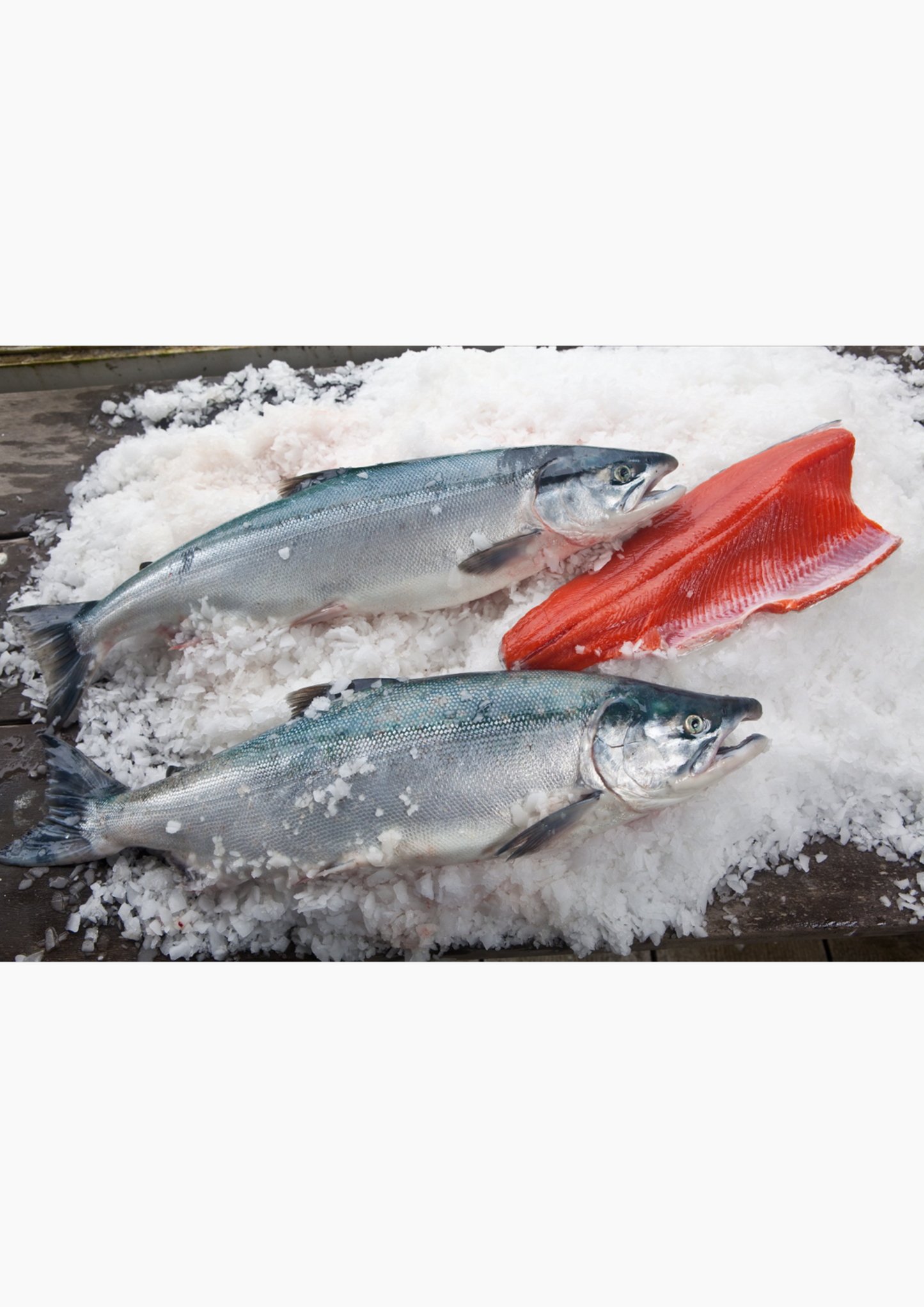 Copper River SOCKEYE Salmon - Whole Fish