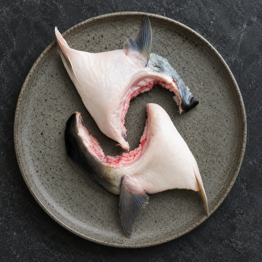 Hamachi Collars