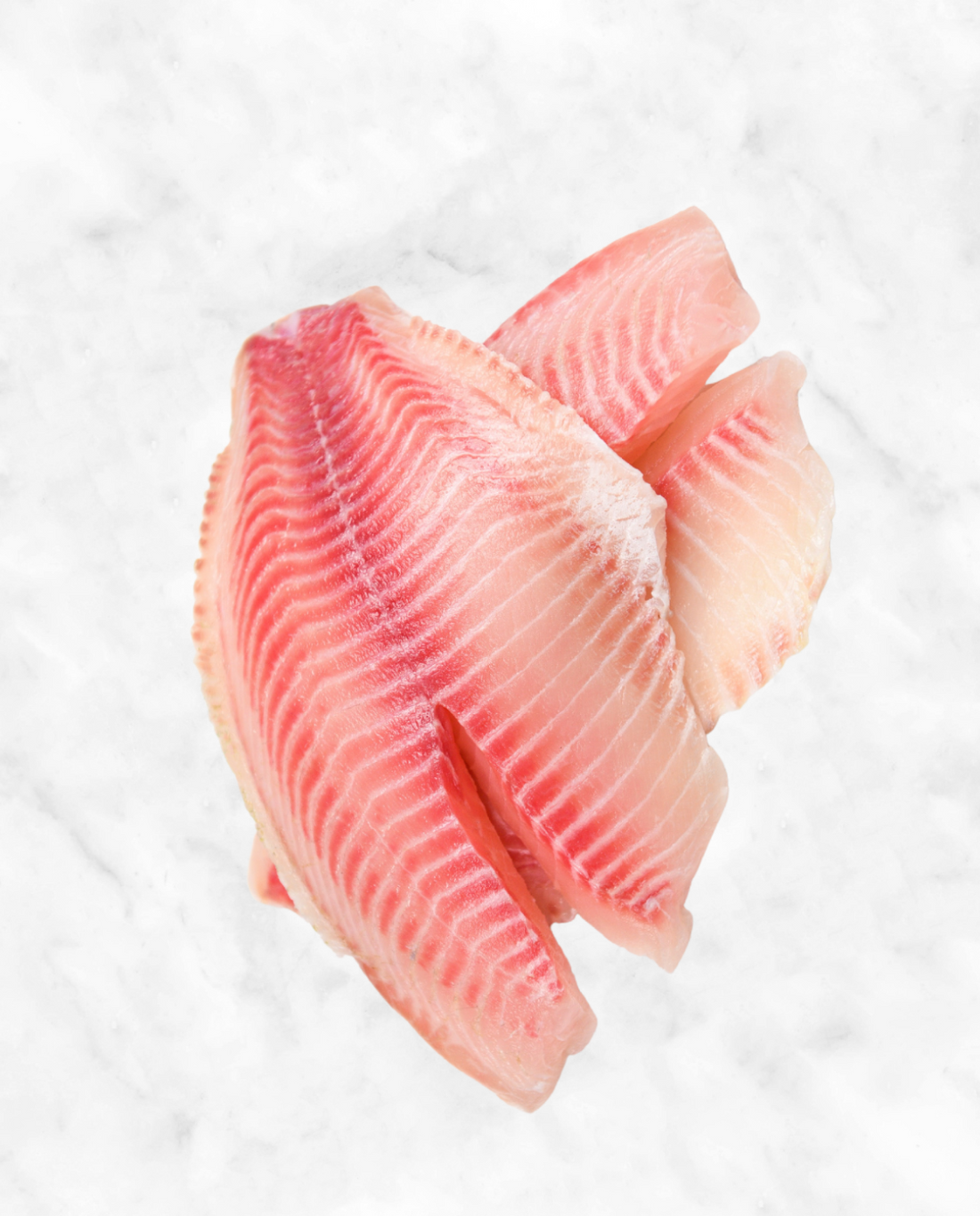 Tilapia Fillet – City Fish